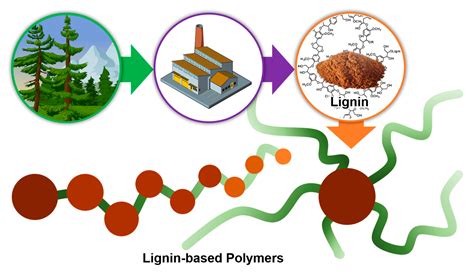 Lignin 聚合物：高性能可持續材料的革命性應用！